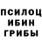 Галлюциногенные грибы мицелий Dmitri Shames