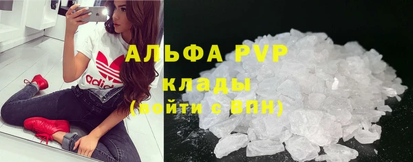 дживик Арсеньев