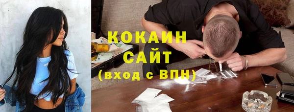 дживик Арсеньев