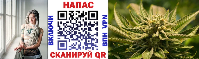 Бошки Шишки семена  Купить где  Нолинск 